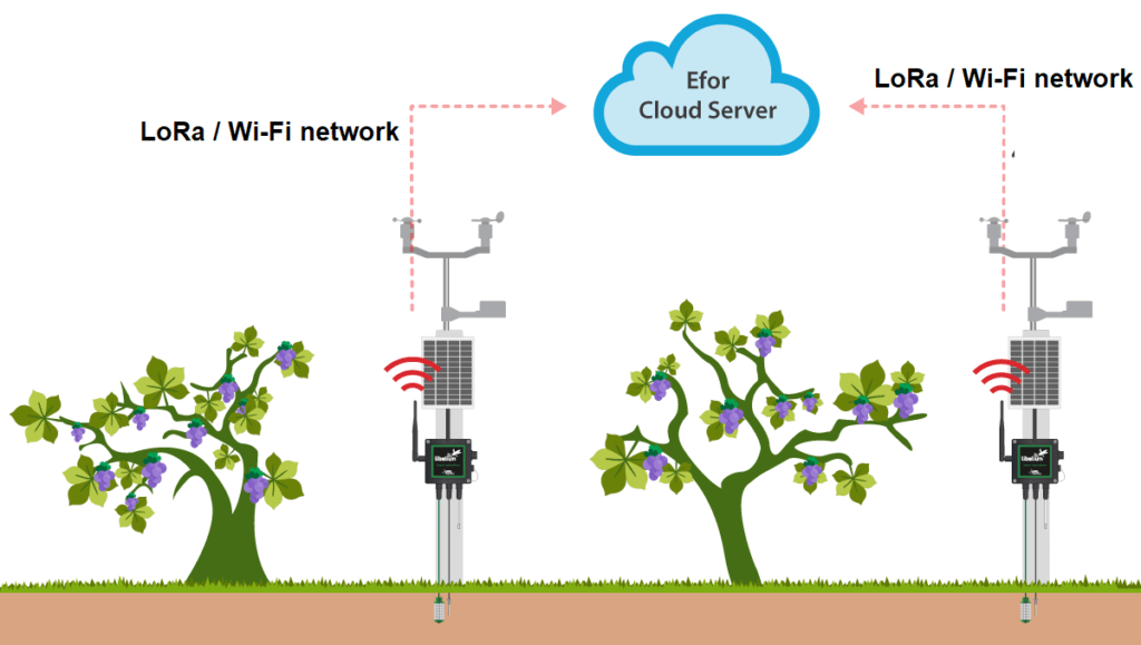 how-to-integrate-iot-in-your-agriculture-business-challenges-and-solutions