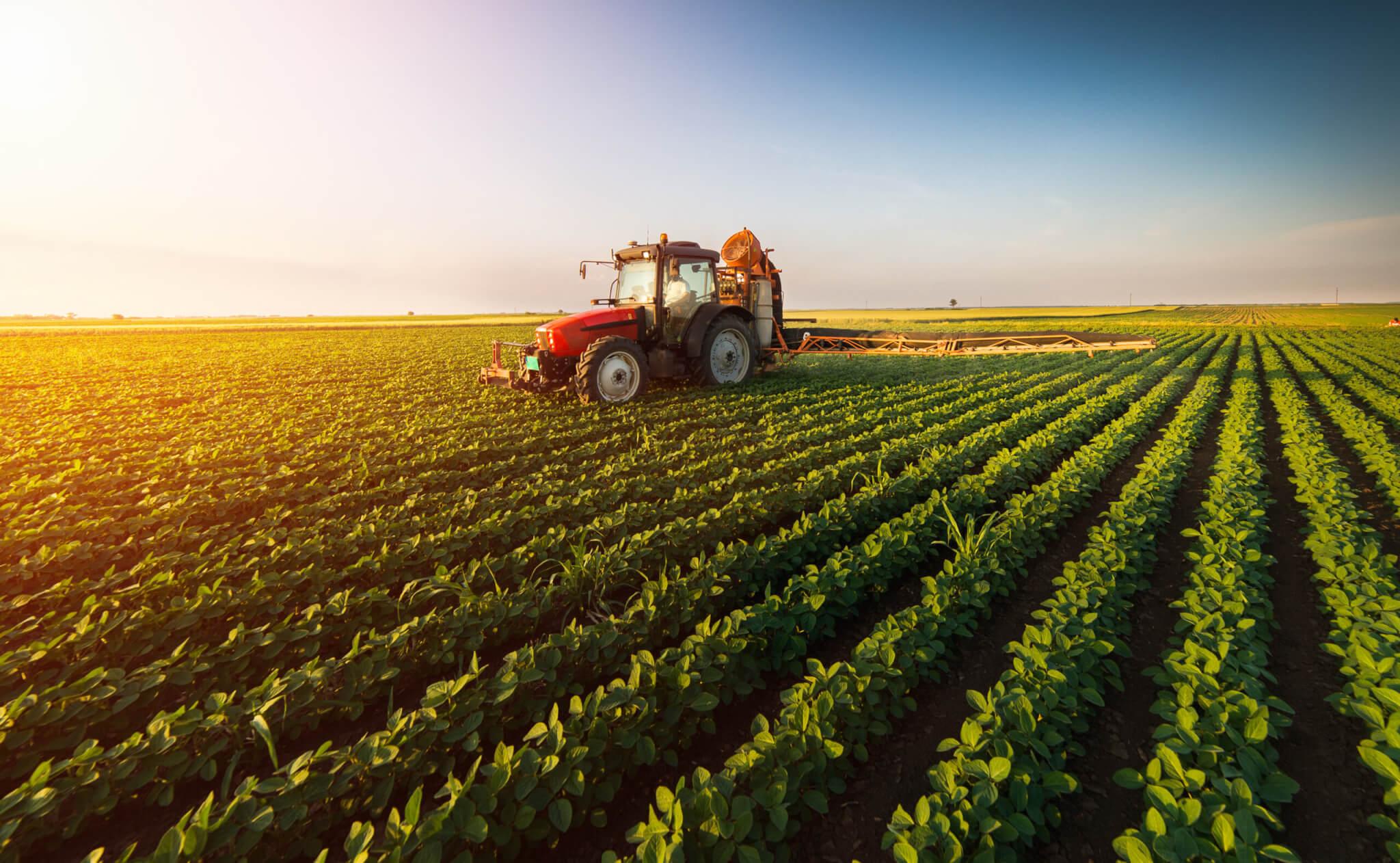 IoT in Agriculture: Use Cases, Solutions, Software Development